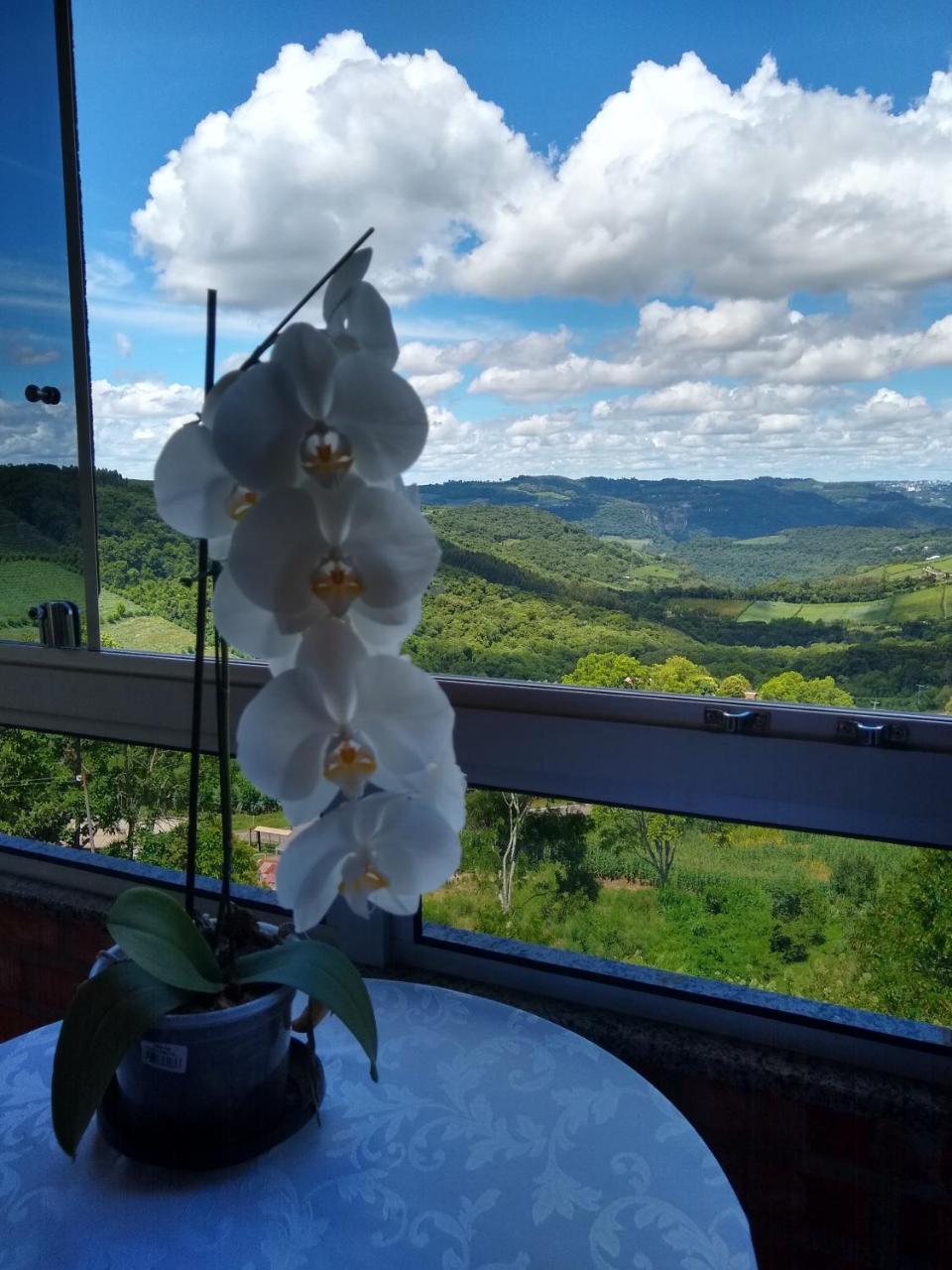 Casa Temporada Monte Belo Do Sul Villa Monte Belo dol Sul Ngoại thất bức ảnh